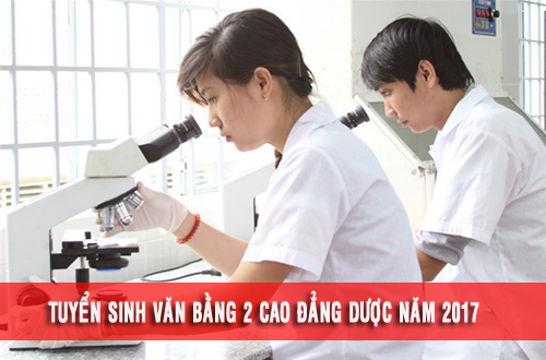 van bang hai cao dang duoc1