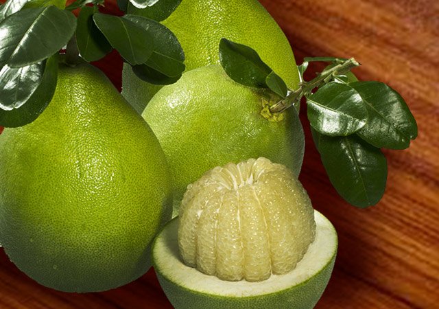 Bưởi và những bài thuốc chữa bệnh thần kỳ