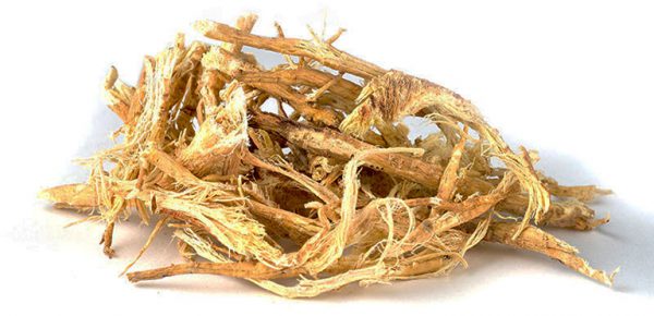 Vị thuốc Hoàng kỳ trong bài thuốc điều trị Viêm tĩnh mạch