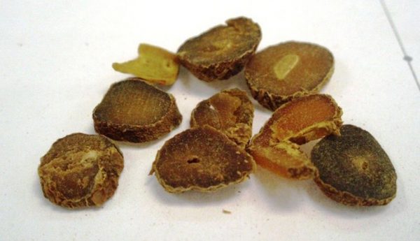Huyền hồ có vị đắng, hăng, tính ôn, đi vào kinh Phế, Vị, Tâm và Can.