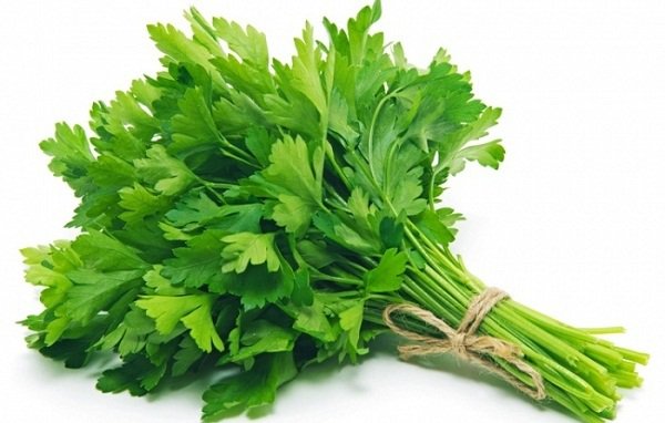 Khám phá thuốc hay từ rau mùi trong y học cổ truyền