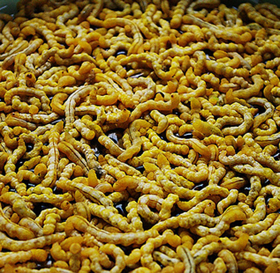 sau-chit-thuc-pham-bo-duong-cho-nam-gioi