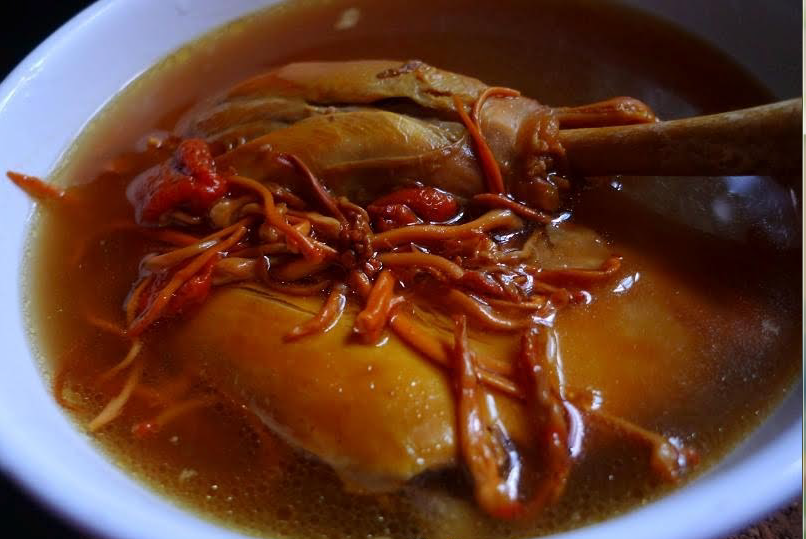 súp-đông-trùng-hạ-thảo
