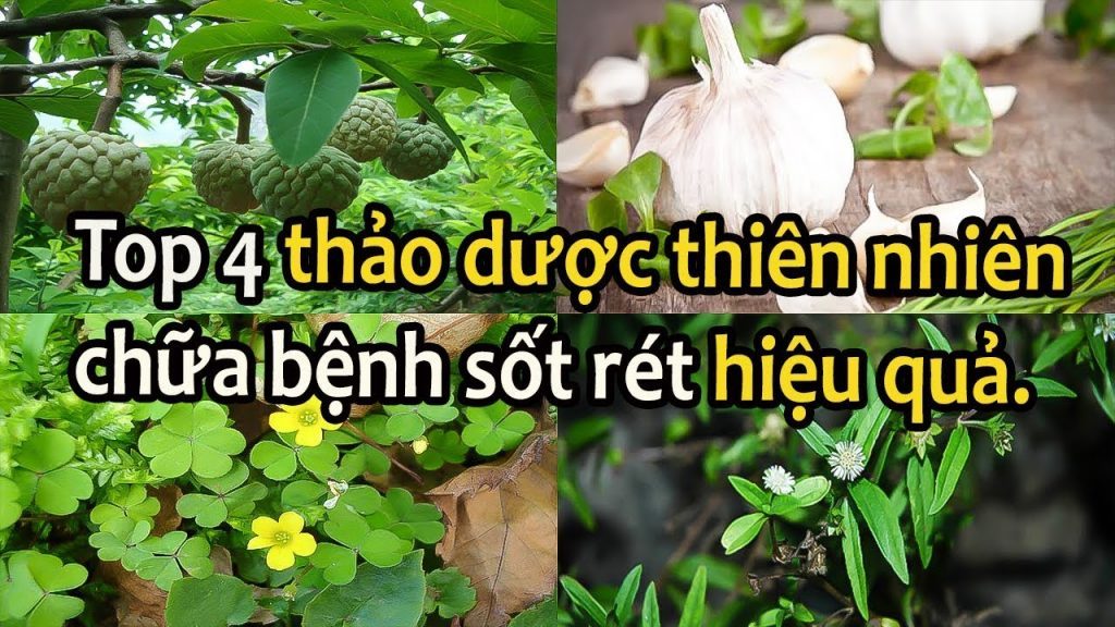 thao duoc 1024x576 1024x576 1