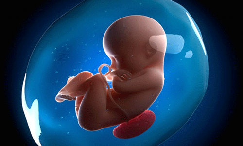 Cách khắc phục tình trạng thiếu nước ối cho bà bầu